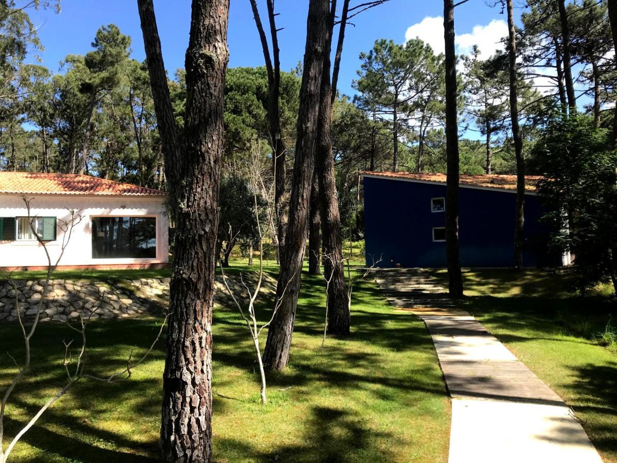 סינטרה Villa Colares מראה חיצוני תמונה