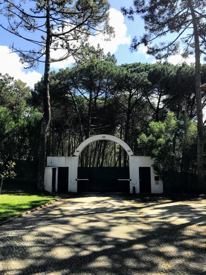 סינטרה Villa Colares מראה חיצוני תמונה