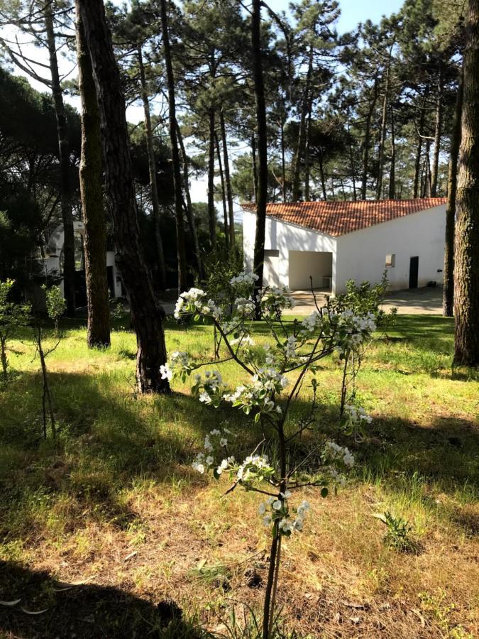 סינטרה Villa Colares מראה חיצוני תמונה