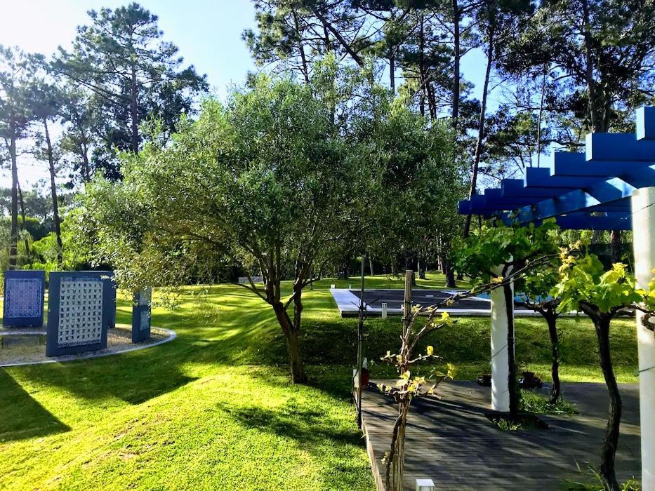 סינטרה Villa Colares מראה חיצוני תמונה
